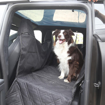 Dog sitting on dark rear seat cover in open vehicle with protective side walls