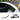 Carbon fiber rear roof spoiler with black weave, curved lip.
