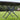 Foldable camping table with black top and X-frame metal legs